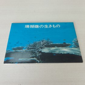 明信片：日本原版明信片《珊瑚礁》（ 8张＋封套）