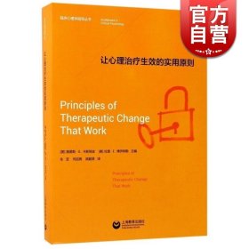 让心理治疗生效的实用原则 临床心理学指导丛书