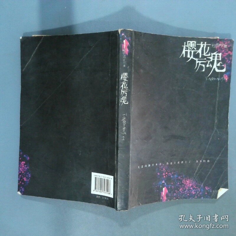 樱花厉魂  Tinadannis  著 中国友谊出版公司