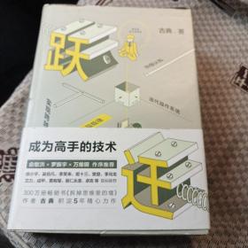 跃迁 成为高手的技术