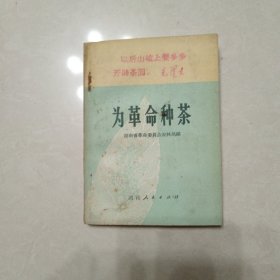 为革命种茶