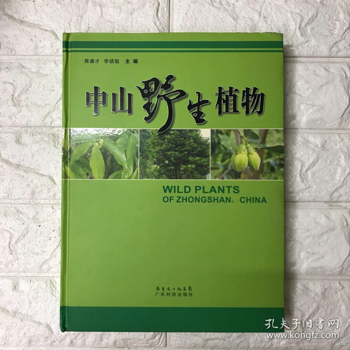 中山野生植物。