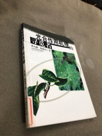 光合作用机理的寻觅者