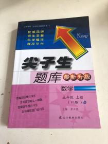 尖子生题库：数学5年级上册（人教升级版）