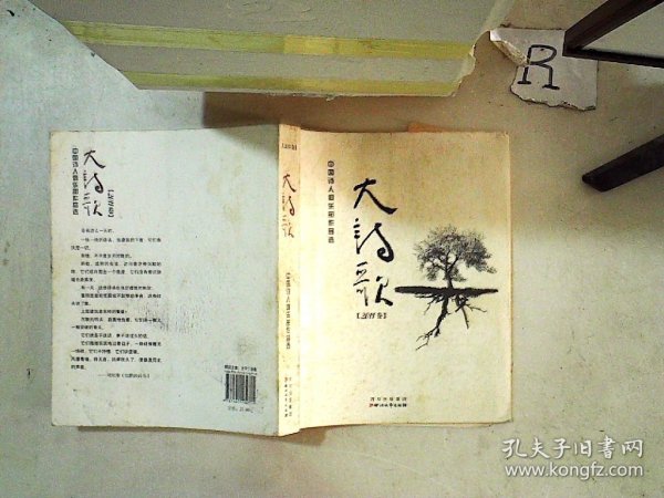 大诗歌 2011卷 中国诗人俱乐部作品选