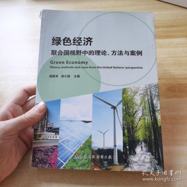 绿色经济：联合国视野中的理论、方法与案例