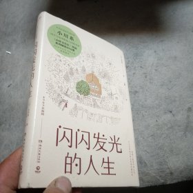 闪闪发光的人生