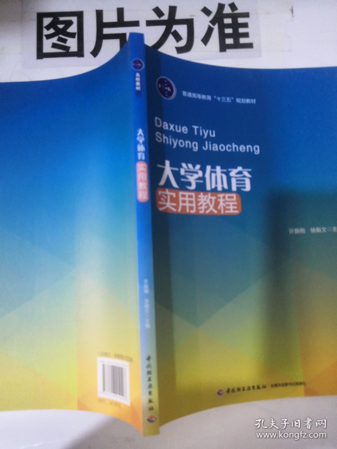 大学体育实用教程普通高等教育十三五规划教材 编者:许振刚徐振文 著作