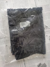 女士西装裤子 夏季单裤 未穿过