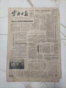 云南日报1984年10月11日，沙甸回族聚居地区，富民县从回乡知青中招聘县区干部，农民邹苏打与山东师傅联营建起皮革厂，布依山寨农家乐，归侨知识分子吴玉生，陇川县张凤区