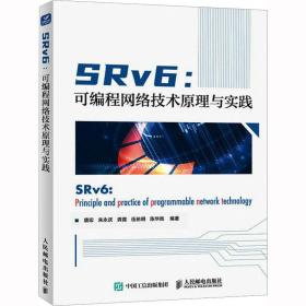 srv6:可编程网络技术与实践 网络技术 作者 新华正版