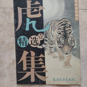 大画册 虎精选集（厘米52.5X38）