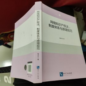 网络知识产权法：制度体系与原理规范