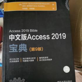 中文版Access2019宝典（第9版）/办公大师经典丛书