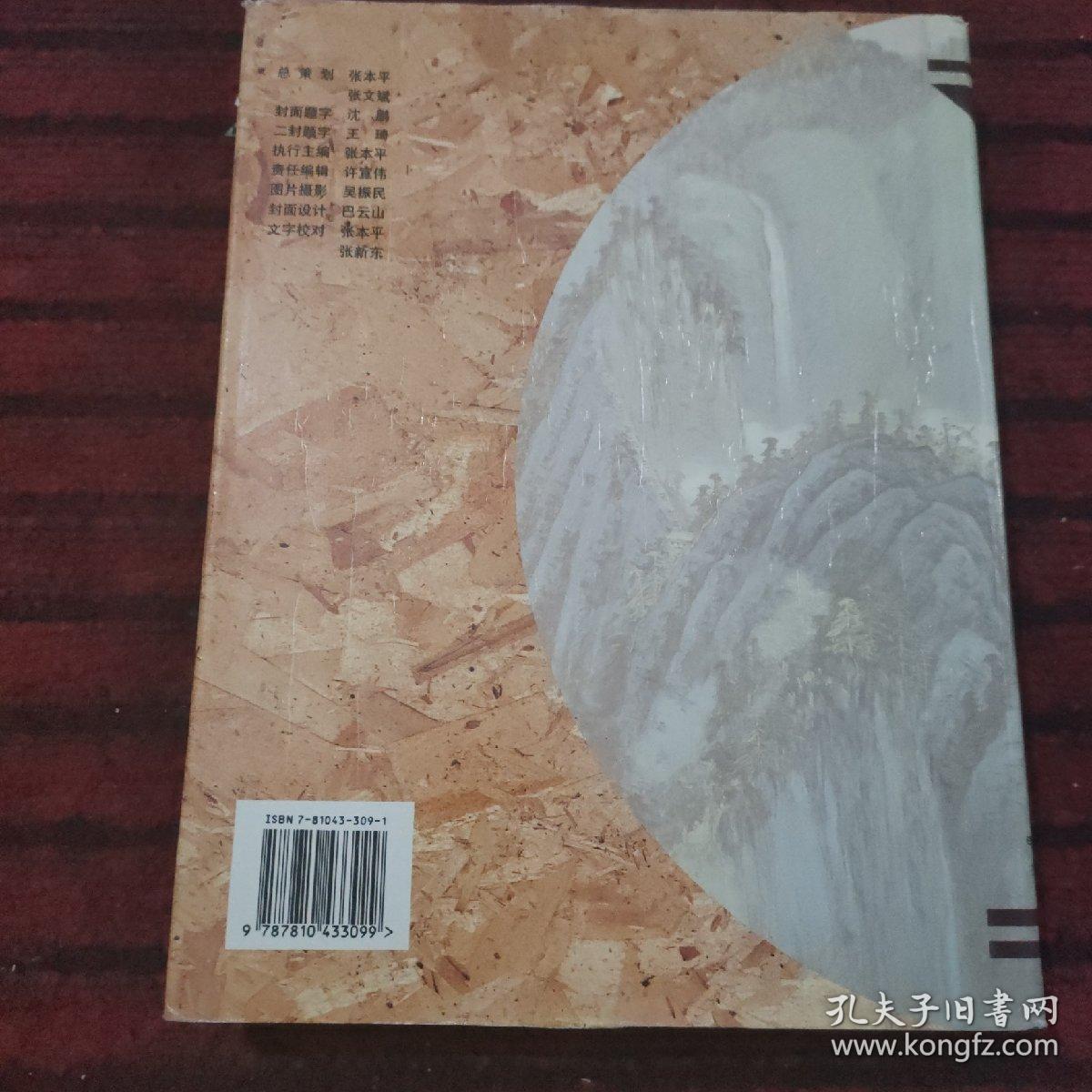 海峡两岸书画家优秀作品集