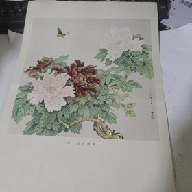 王叔晖画辑十牡丹蝴蝶