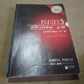 杜拉拉3：我在这战斗的一年里