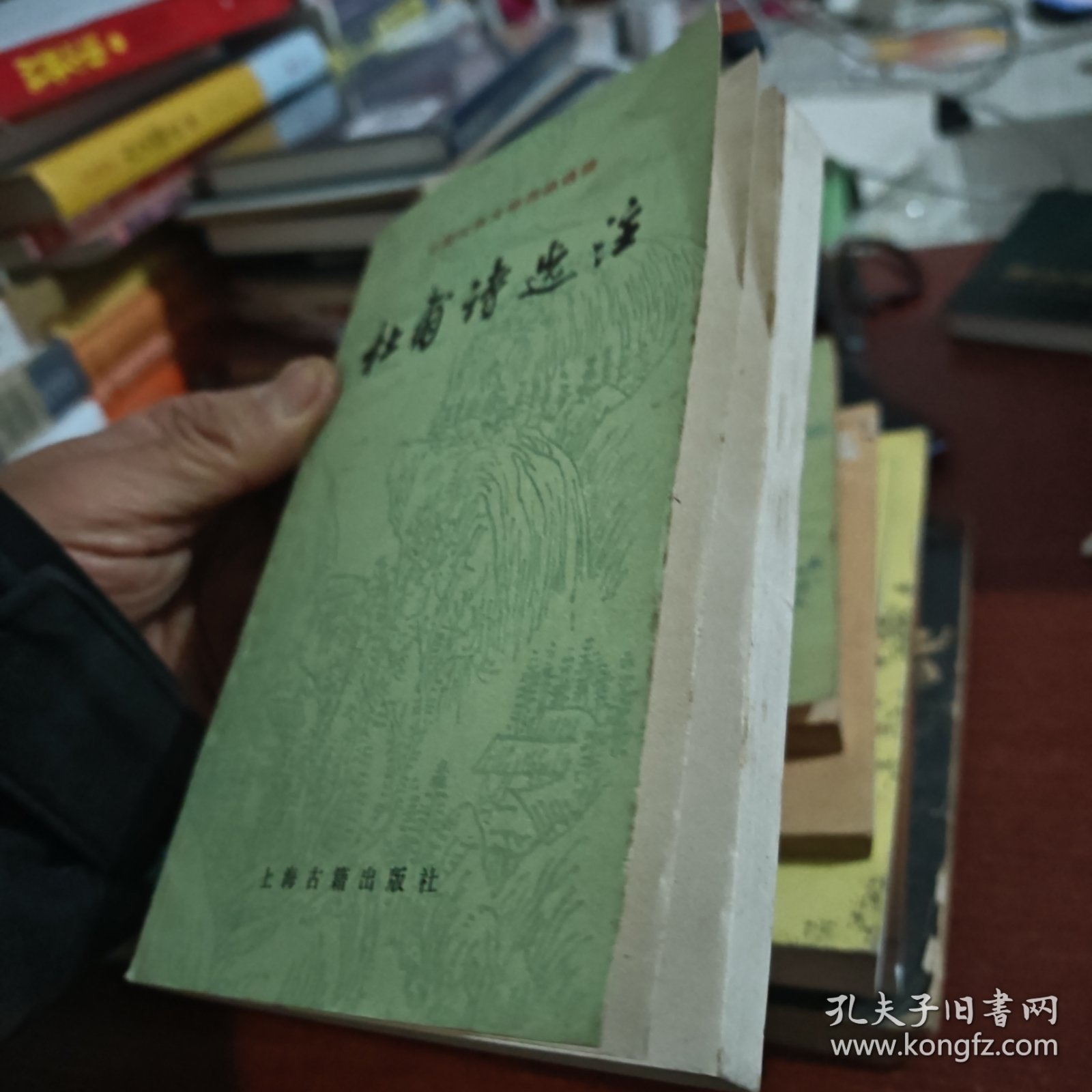 中国古典文学作品选读杜甫诗选注