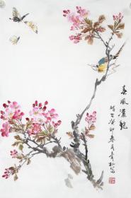 蒲青松老师精品写意花鸟（带合影视频）