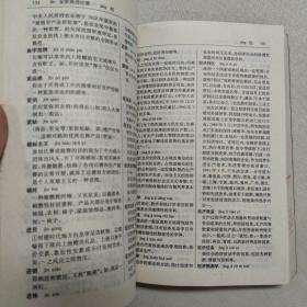 正版 新词新语词典