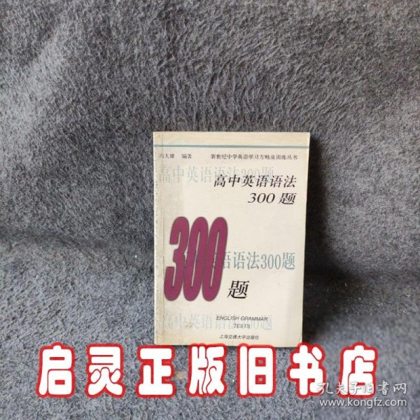 新世纪中学英语学习方略及训练丛书：高中英语语法300题（第2版）