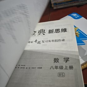 金典新思维期末专题复习及寒假作业数学八年级上册BS赠答案