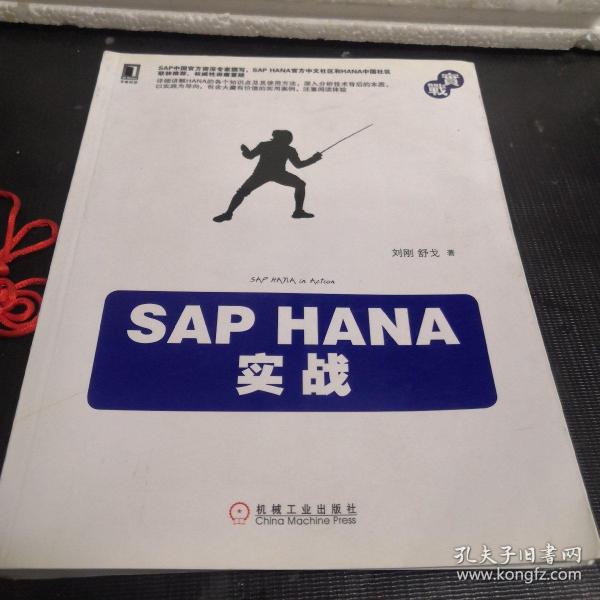 SAP HANA实战