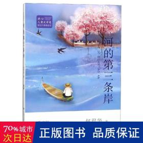 冰心儿童文学奖新锐作家精品馆:河的第三条岸