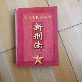 新刑法实务全书