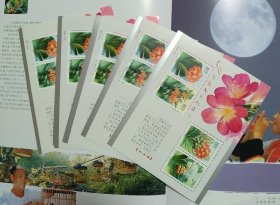 【今日特价】新中国邮票小型张：2000-24T 君子兰邮票 小全张 五枚合售