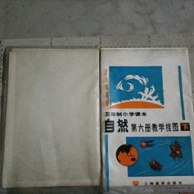 五年制小学课本 自然 五.六册教学挂图下