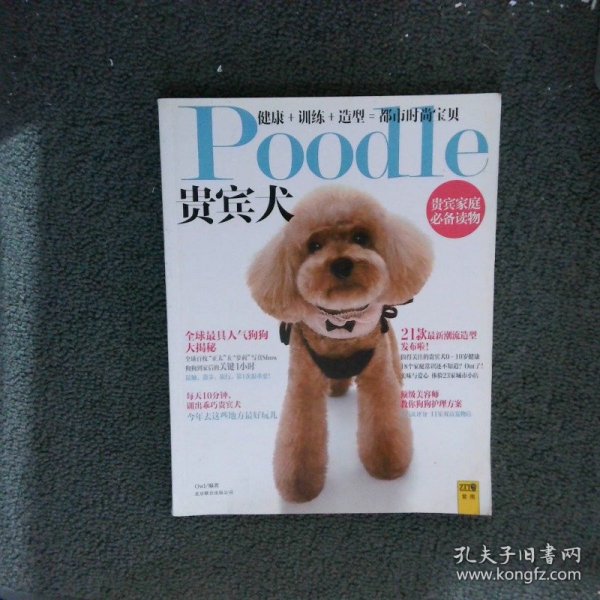 Poodle 贵宾犬