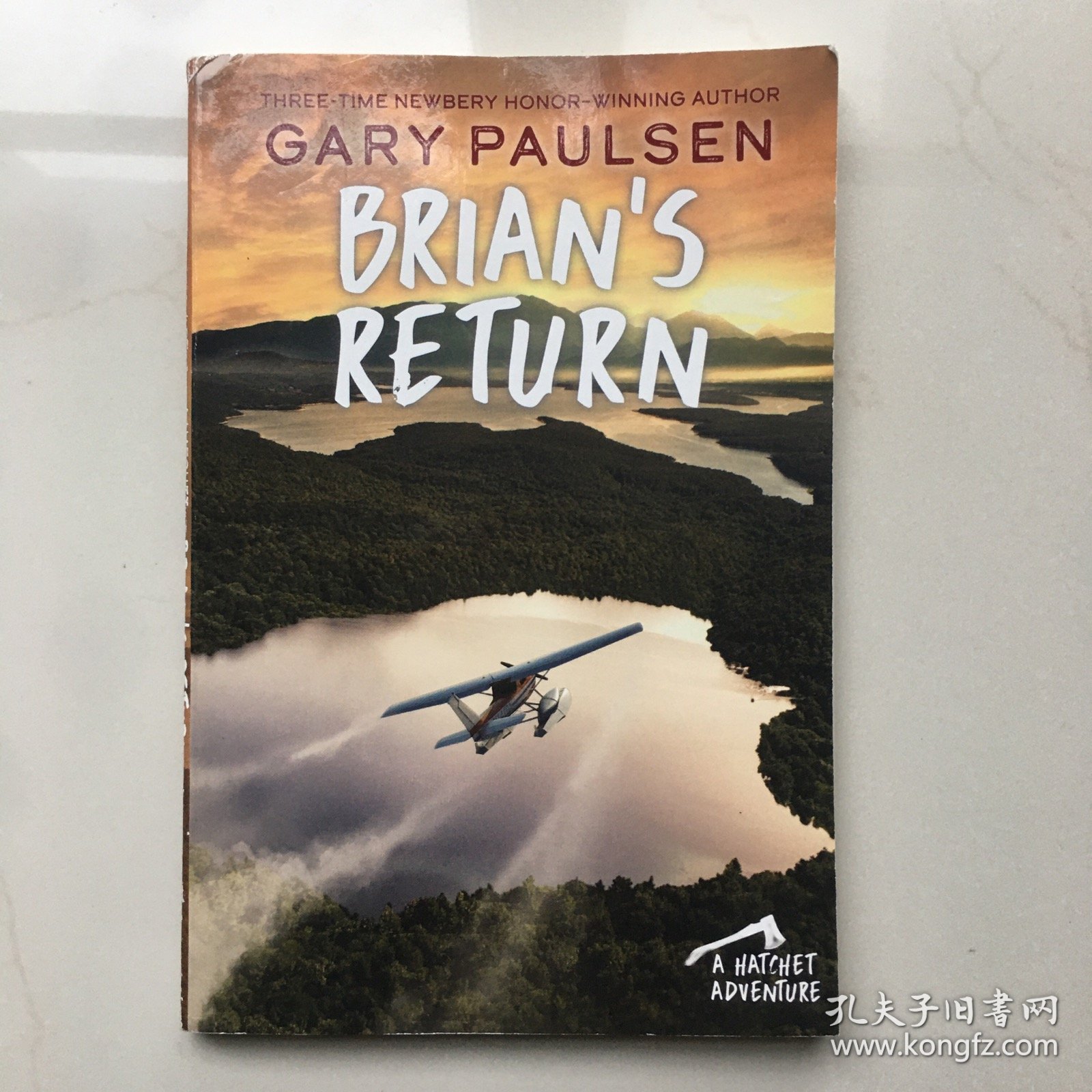 Brian's Return   Brian's Return [Paperback]手斧男孩6：布莱恩归来