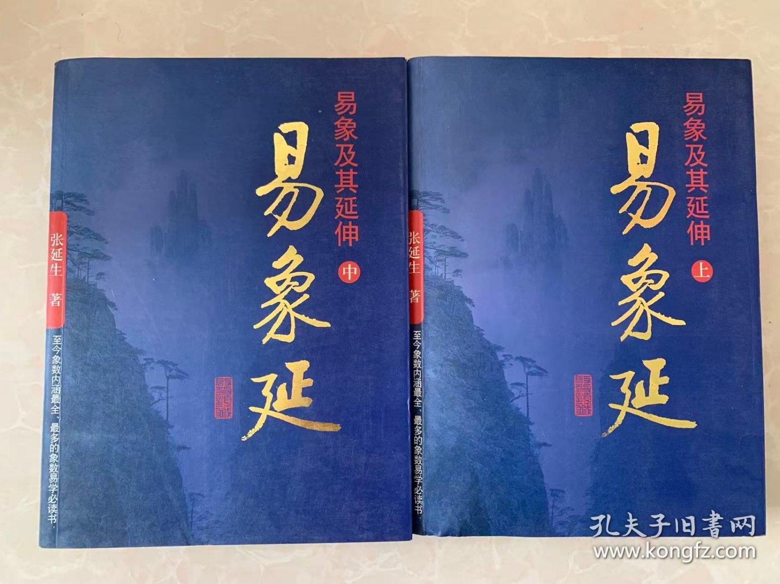 易象延（上册、中册）