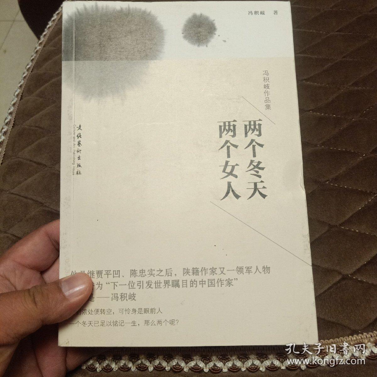 冯积岐作品集：两个冬天，两个女人