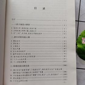 解放战争广西敌后游击战纪实