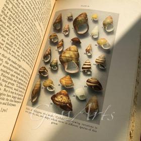 SMITHSONIAN SCIENTIFIC SERIES 史密森学会科学系列