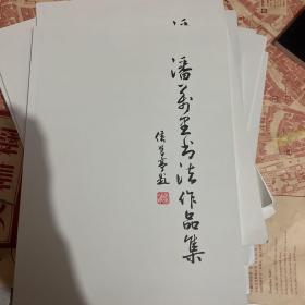 潘万里书法作品集