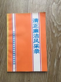 中共惠民地委党史资料:清正廉洁风采录