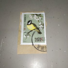 普31中国鸟-黄腹山雀，信销票,带荧光防伪