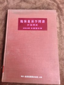 日文原版 臨牀血液学図 临床血液学图谱 白血球系