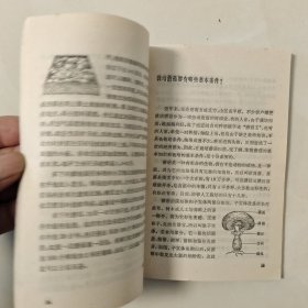 青年科技小顾问