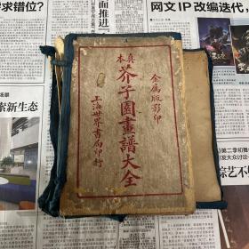 民国金属版 《芥子园画谱大全》十册全，白
纸精印本，正宗民国老版书，低价出售、