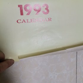 1993恭贺新禧香港女明星挂历