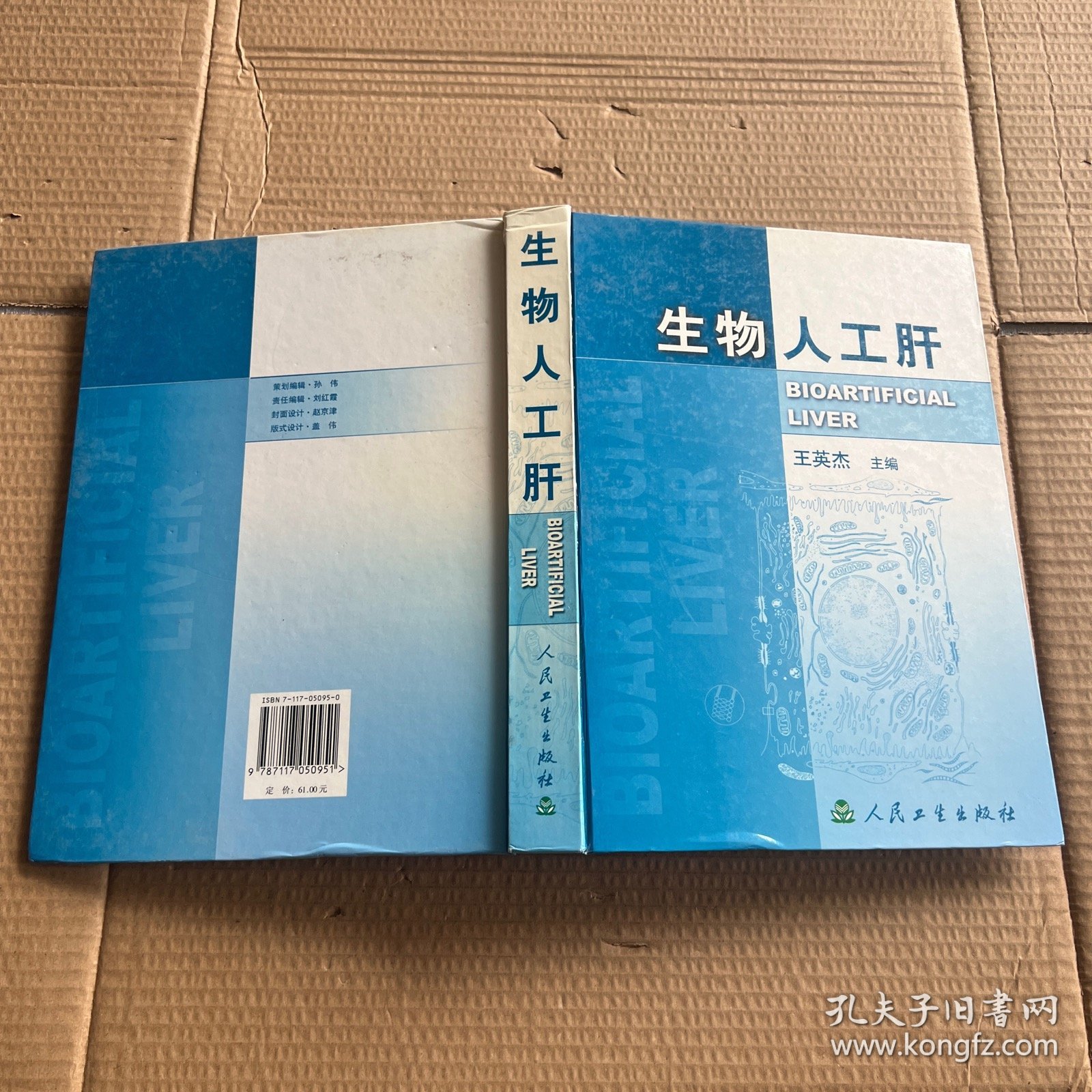生物人工肝(精)