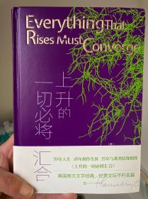 上升的一切必将汇合（美国南方文学大师弗兰纳里·奥康纳经典之作）