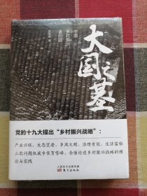 大国之基：中国乡村振兴诸问题（未开封）