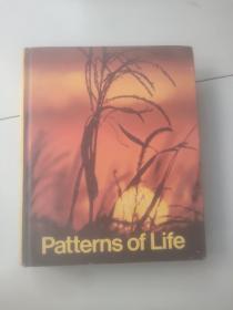 patterns of life【16开硬精装英文原版，如图实物图】