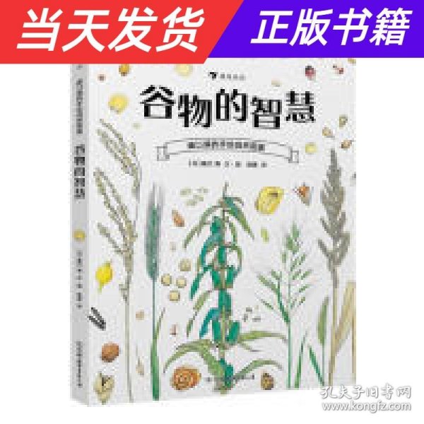  盛口满的手绘自然图鉴：谷物的智慧