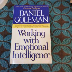 Working with Emotional Intelligence[情商实务]